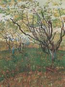 Vincent Van Gogh Orchard in Blosson (nn04) Germany oil painting reproduction